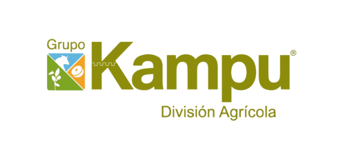 Grupo KAMPU